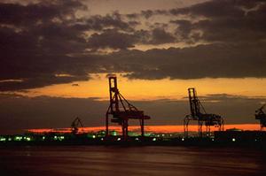 美しさと味わいを華やかに彩る食用金粉